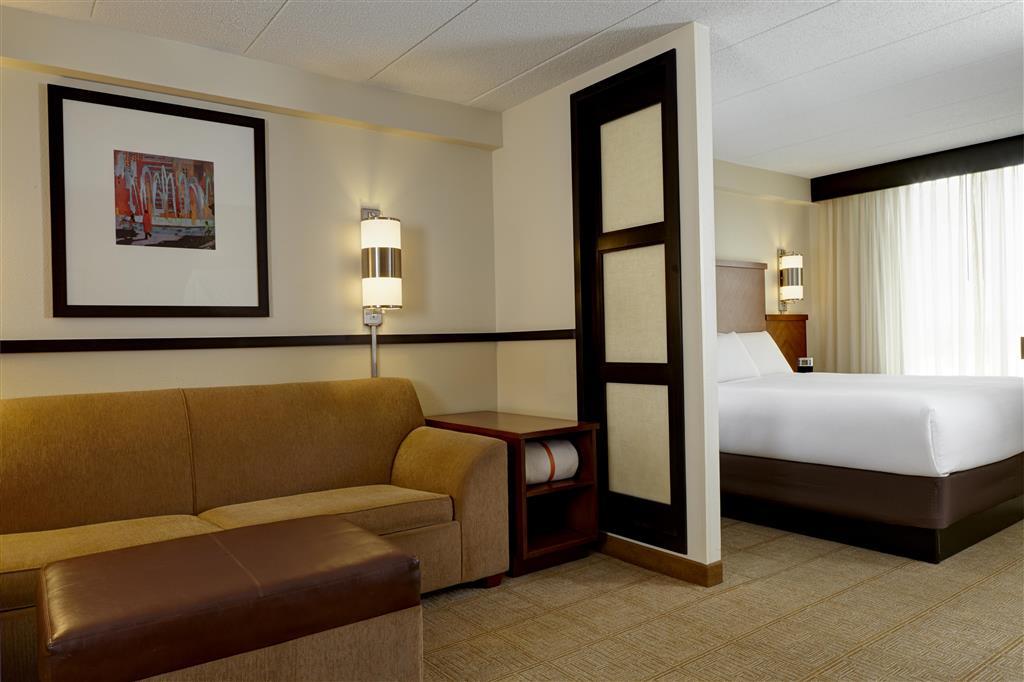 Hyatt Place Atlanta Downtown Rum bild